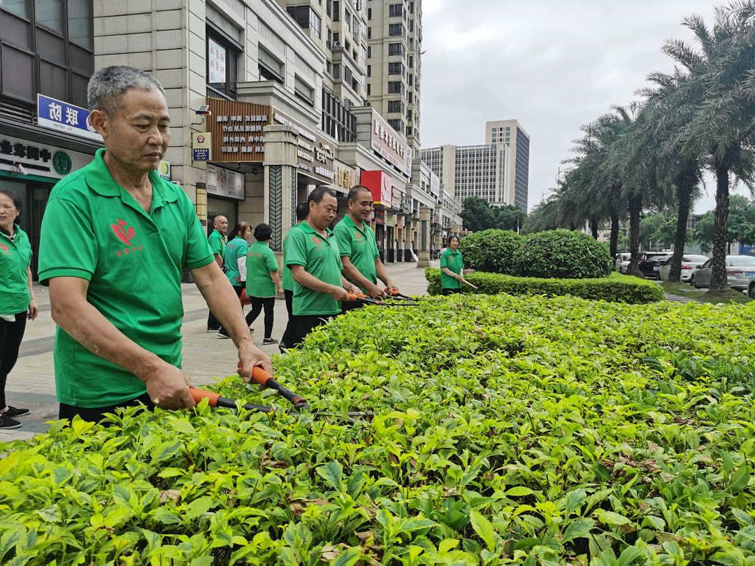 欢迎访问十大电子网址工人正在修建绿化带灌木